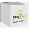 LED Leuchtwürfel / Acryl Würfel